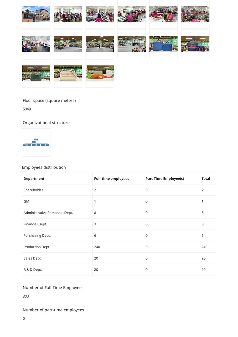 Supplier Assessment Report Guangzhou Dayi Leather Industry Limited 05 副本